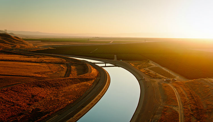Irrigation